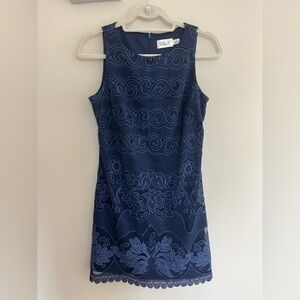 Eliza J Navy A-Line Lace Dress Sleeveless Size 4 P